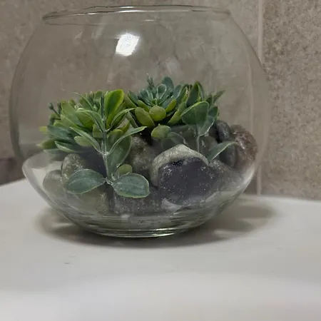 Canvas 아파트 바레나